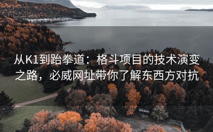 从K1到跆拳道：格斗项目的技术演变之路，必威网址带你了解东西方对抗  第2张