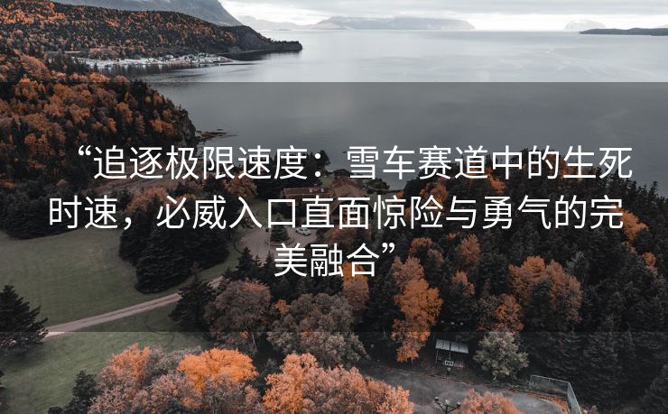 “追逐极限速度：雪车赛道中的生死时速，必威入口直面惊险与勇气的完美融合”