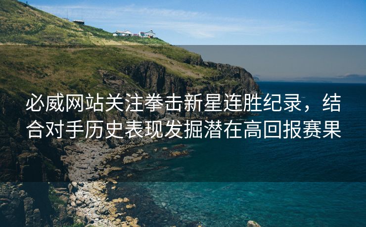 必威网站关注拳击新星连胜纪录，结合对手历史表现发掘潜在高回报赛果  第2张