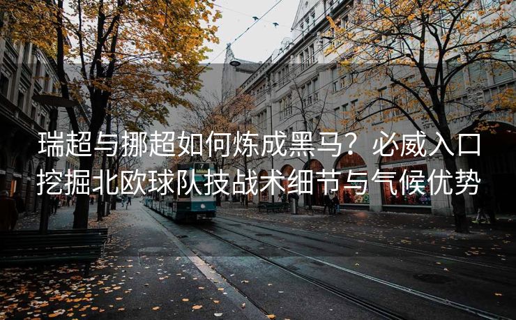 瑞超与挪超如何炼成黑马？必威入口挖掘北欧球队技战术细节与气候优势  第2张