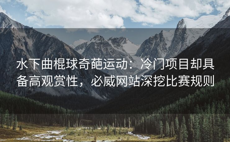 水下曲棍球奇葩运动：冷门项目却具备高观赏性，必威网站深挖比赛规则