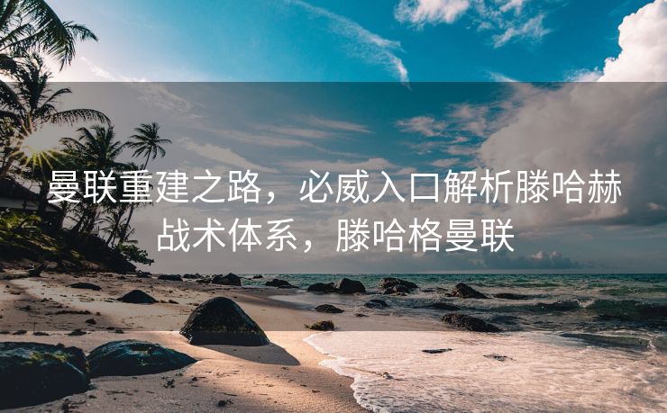 曼联重建之路，必威入口解析滕哈赫战术体系，滕哈格曼联  第2张